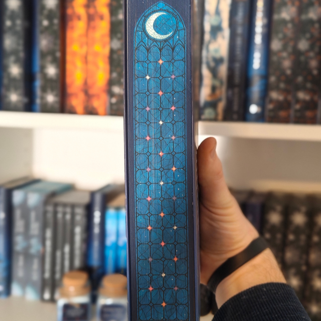 Vorbestellung -Der Hof der silbernen Nacht (Band 1 | Schattenlicht-Saga)