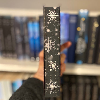 Eisfunken – Die Prinzen des Winters (Band 1 | Eisfeuer-Saga)